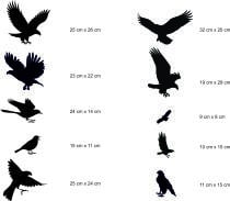 Naklejki ochronne na okna, Naklejka Odstraszająca Ptaki, Gołębie | Duży Zestaw 14szt. 51202 - miniaturka 3