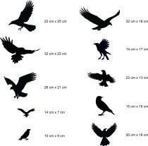 Profesjonale Naklejki na szyby, okna odstraszające Ptaki | Odstraszacz Kruków i Gołębi 14szt 51200 - miniaturka 3