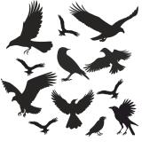 Profesjonale Naklejki na szyby, okna odstraszające Ptaki | Odstraszacz Kruków i Gołębi 14szt 51200 - miniaturka 1