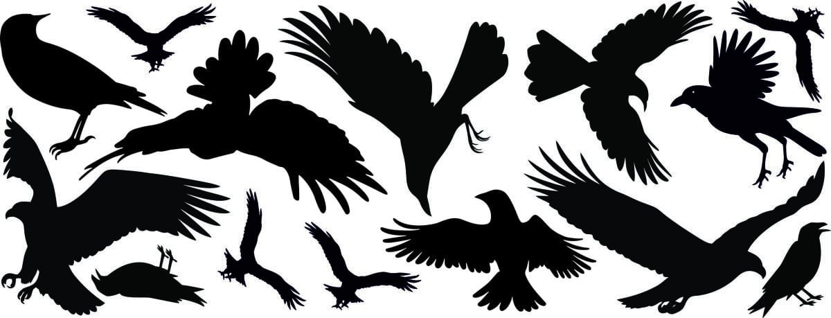 Profesjonale Naklejki na szyby, okna odstraszające Ptaki | Odstraszacz Kruków i Gołębi 14szt 51200 - zdjęcie 2