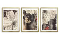 Eleganckie Plakaty z kwiatami- Beżowe Maki |Zestaw Obrazów w stylu Vintage 42250 - miniaturka 7