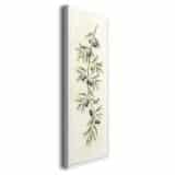 Botaniczny obraz Akwarela Oliwiki | Elegancka dekoracja do jadalni 31266 - miniaturka 2