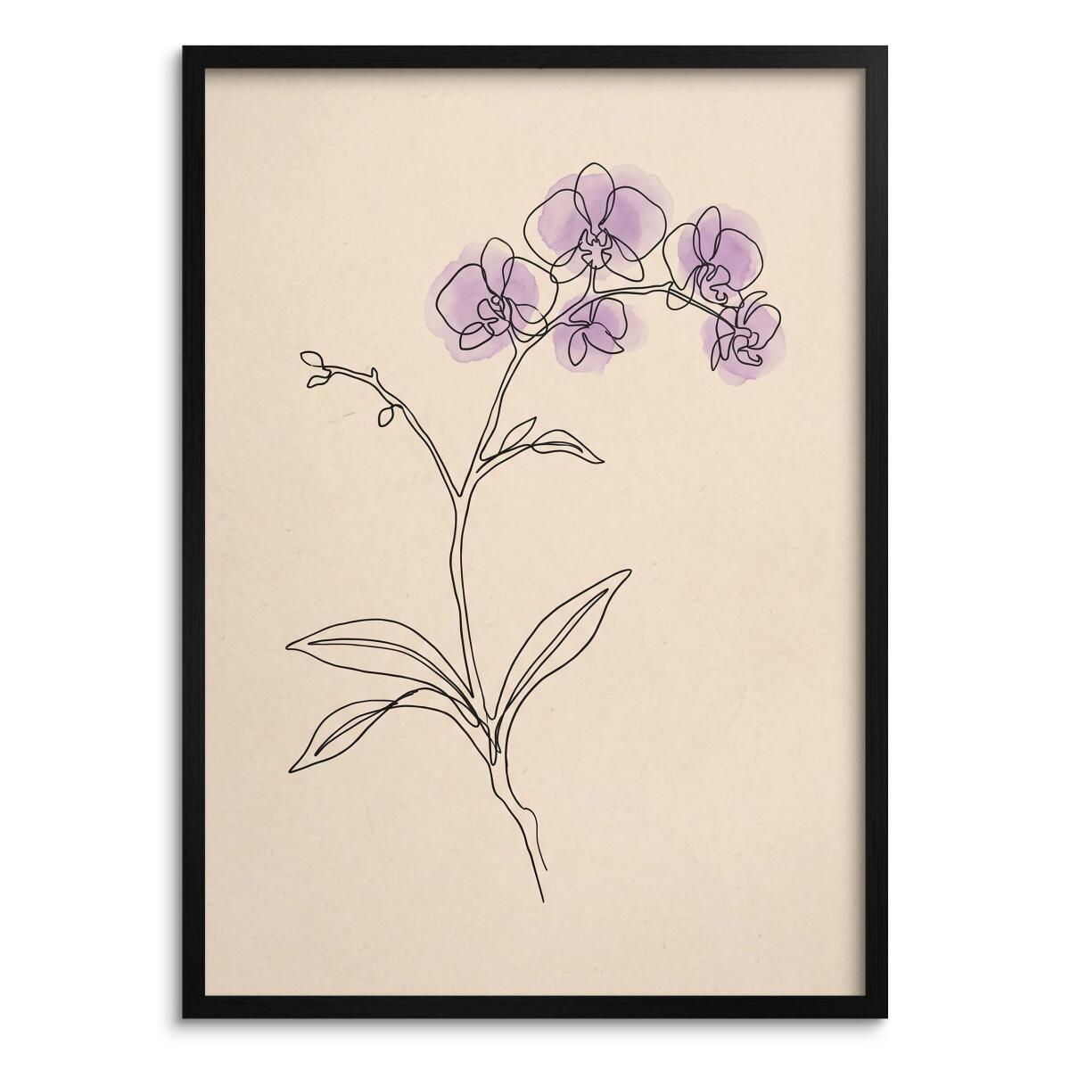 Nowoczesny plakat do salonu- Storczyk fioletowy | Botaniczna grafika Japandi 31171