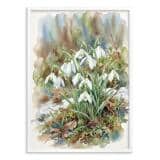 Obraz na ścianę Wiosenne Przebiśniegi | Stylowy plakat botaniczny 31150 - miniaturka 2