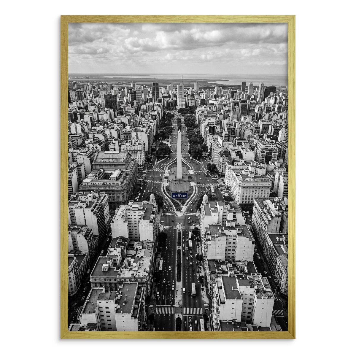 Plakat na ścianę Buenos Aires z lotu ptaka | Elegancka grafika miejska 31215 - zdjęcie 3