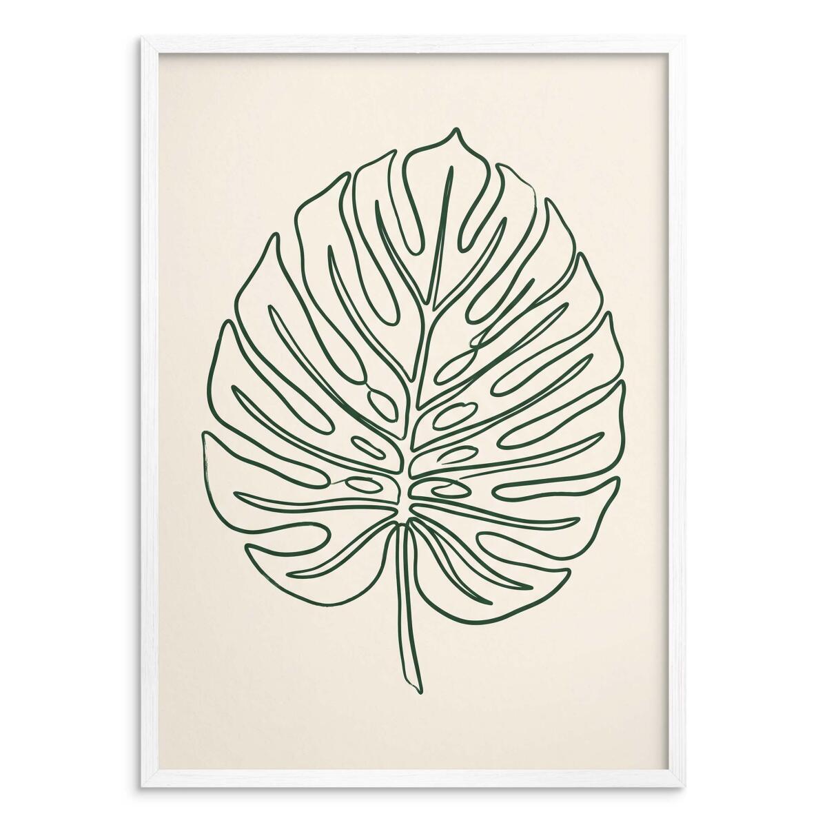 Plakat Botaniczny Monstera Line Art | Minimalistyczny Obraz Boho do Salonu 31089 - zdjęcie 2