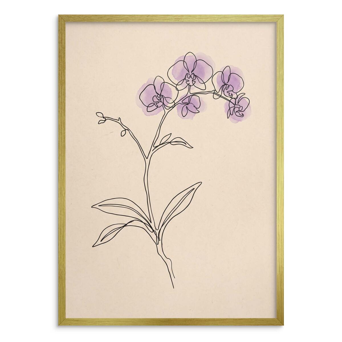 Nowoczesny plakat do salonu- Storczyk fioletowy | Botaniczna grafika Japandi 31171 - zdjęcie 3