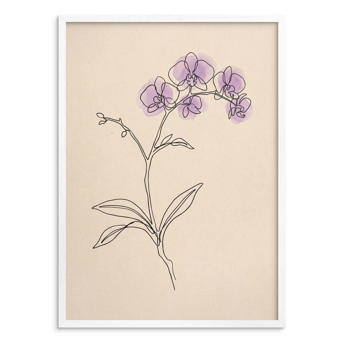 Nowoczesny plakat do salonu- Storczyk fioletowy | Botaniczna grafika Japandi 31171 - zdjęcie 2