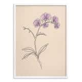 Nowoczesny plakat do salonu- Storczyk fioletowy | Botaniczna grafika Japandi 31171 - miniaturka 2