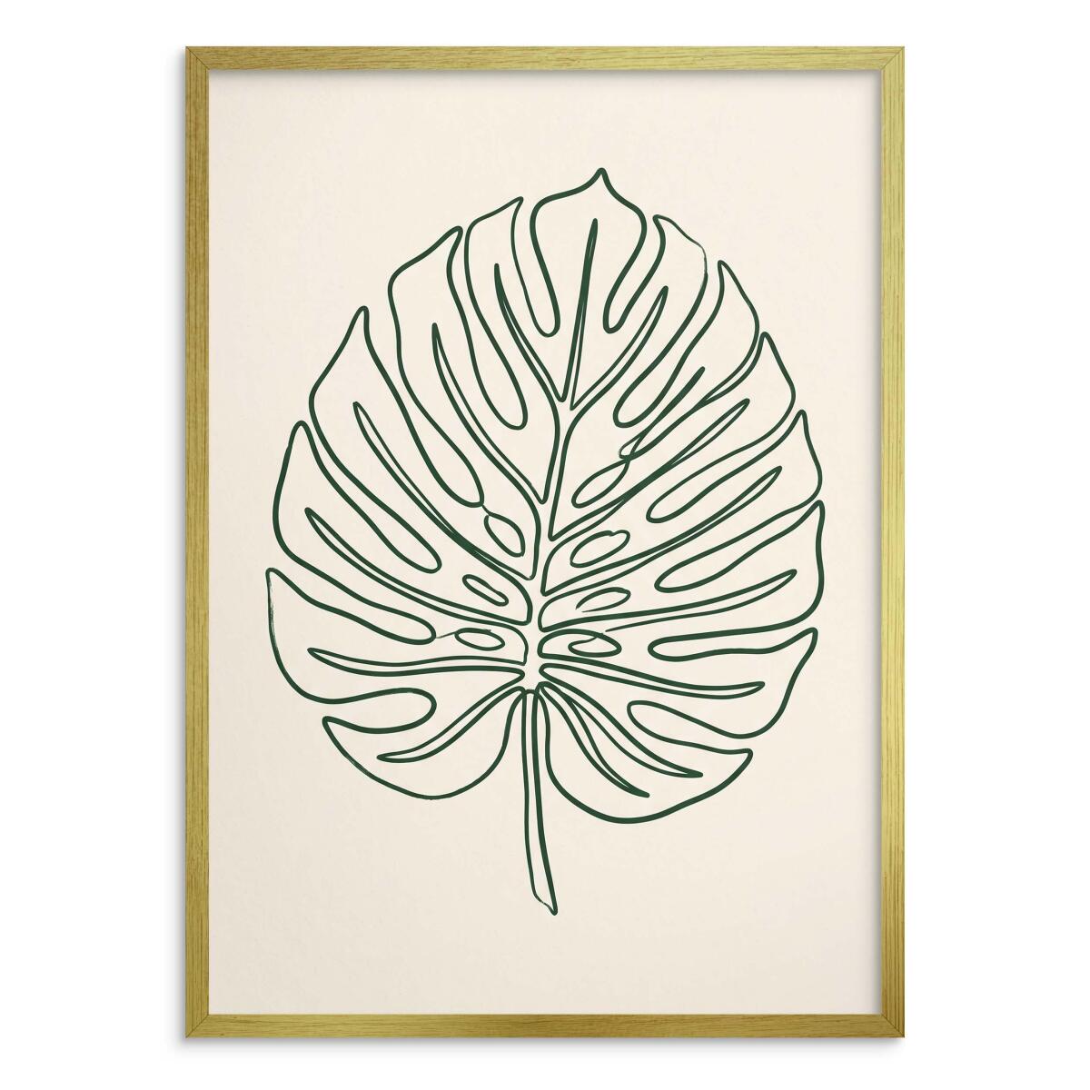 Plakat Botaniczny Monstera Line Art | Minimalistyczny Obraz Boho do Salonu 31089 - zdjęcie 3