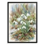 Obraz na ścianę Wiosenne Przebiśniegi | Stylowy plakat botaniczny 31150 - miniaturka 1
