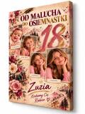 Obraz na 18 urodziny ze zdjęć dla dziewczyny — Od malucha do osiemnastki 51106 - miniaturka 1